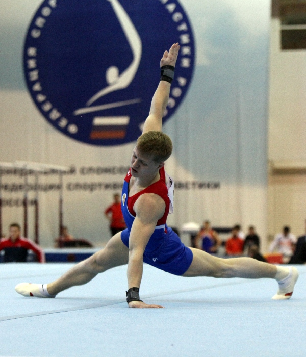 Спортивная гимнастика пенза 2023. Юрий Денисов художественная гимнастика. Илья Арнаут спортивная гимнастика. Директор города Москвы по спортивной гимнастике по регионам.